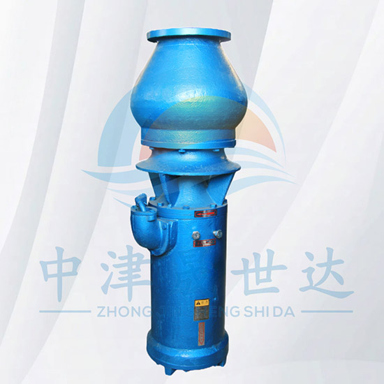 中吸式简易混流泵