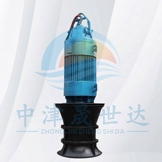高压潜水轴流泵